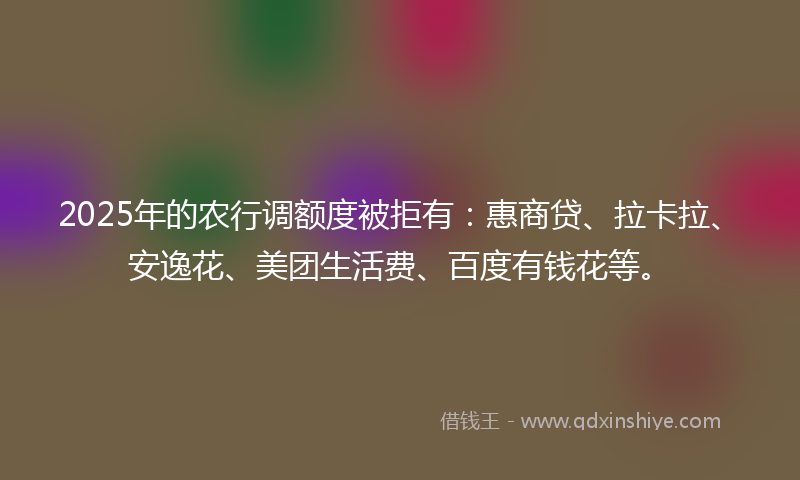 2025年的农行调额度被拒有：惠商贷、拉卡拉、安逸花、美团生活费、百度有钱花等。