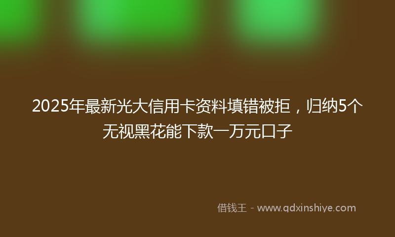 2025年最新光大信用卡资料填错被拒，归纳5个无视黑花能下款一万元口子