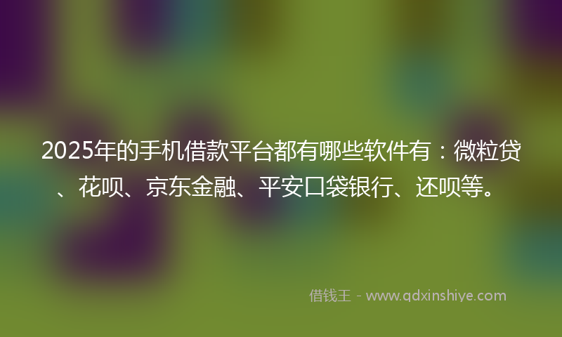 2025年的手机借款平台都有哪些软件有：微粒贷、花呗、京东金融、平安口袋银行、还呗等。