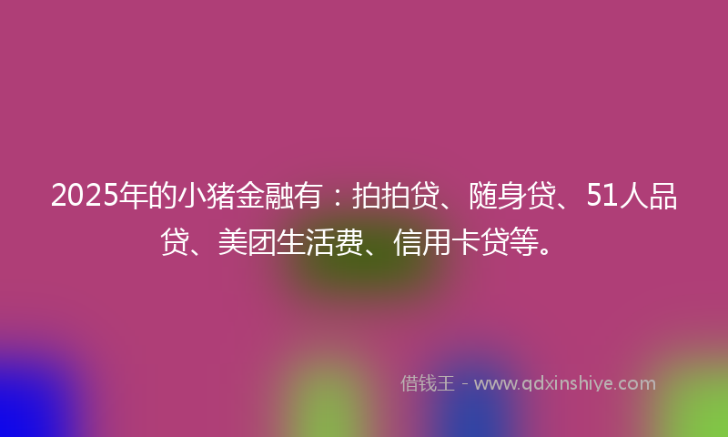 2025年的小猪金融有：拍拍贷、随身贷、51人品贷、美团生活费、信用卡贷等。