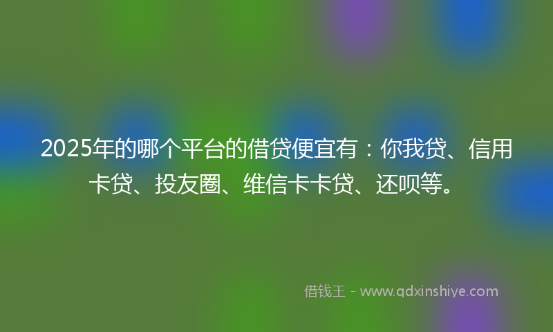 2025年的哪个平台的借贷便宜有：你我贷、信用卡贷、投友圈、维信卡卡贷、还呗等。