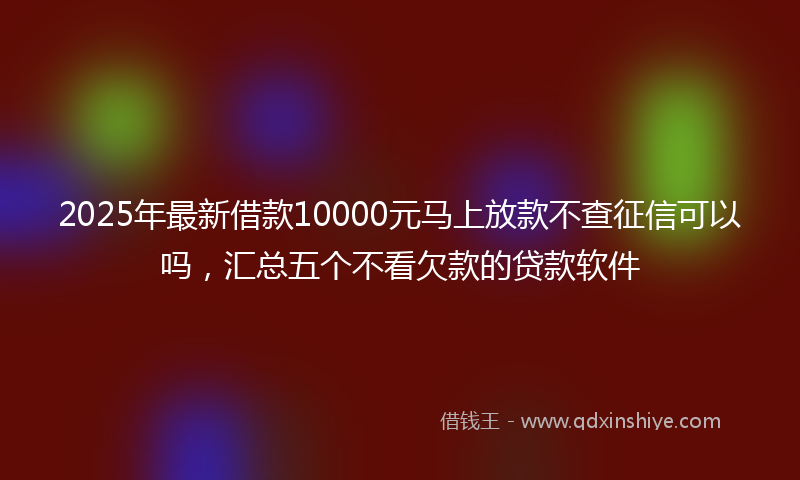 2025年最新借款10000元马上放款不查征信可以吗，汇总五个不看欠款的贷款软件