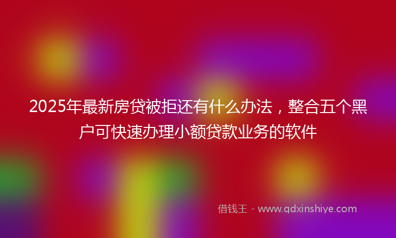 2025年最新房贷被拒还有什么办法，整合五个黑户可快速办理小额贷款业务的软件