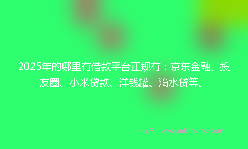 2025年的哪里有借款平台正规有：京东金融、投友圈、小米贷款、洋钱罐、滴水贷等。