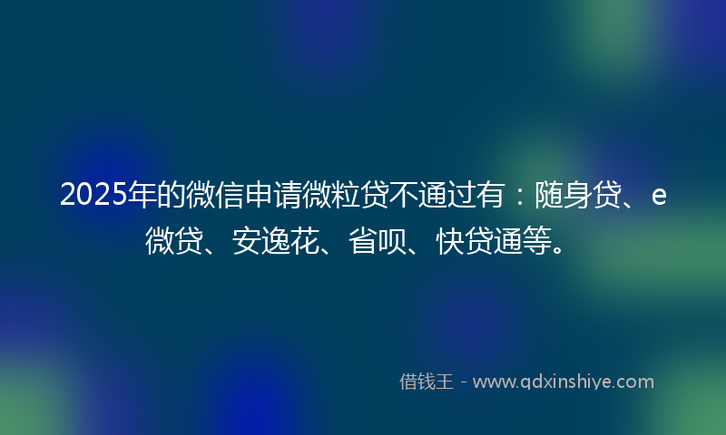 2025年的微信申请微粒贷不通过有：随身贷、e微贷、安逸花、省呗、快贷通等。