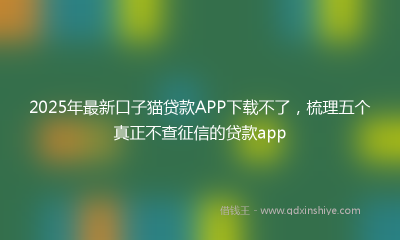 2025年最新口子猫贷款APP下载不了，梳理五个真正不查征信的贷款app