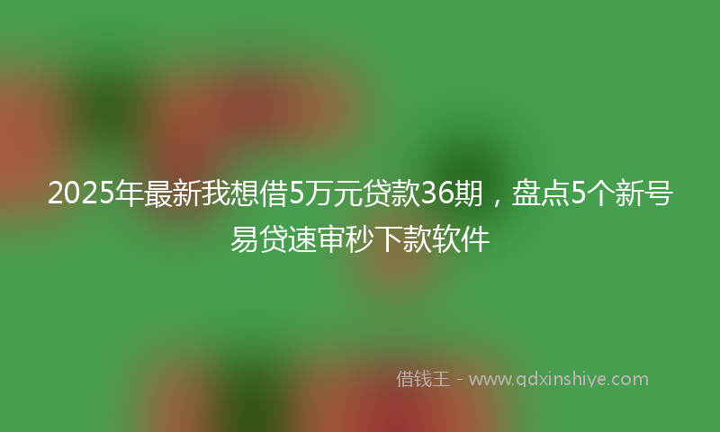 2025年最新我想借5万元贷款36期，盘点5个新号易贷速审秒下款软件