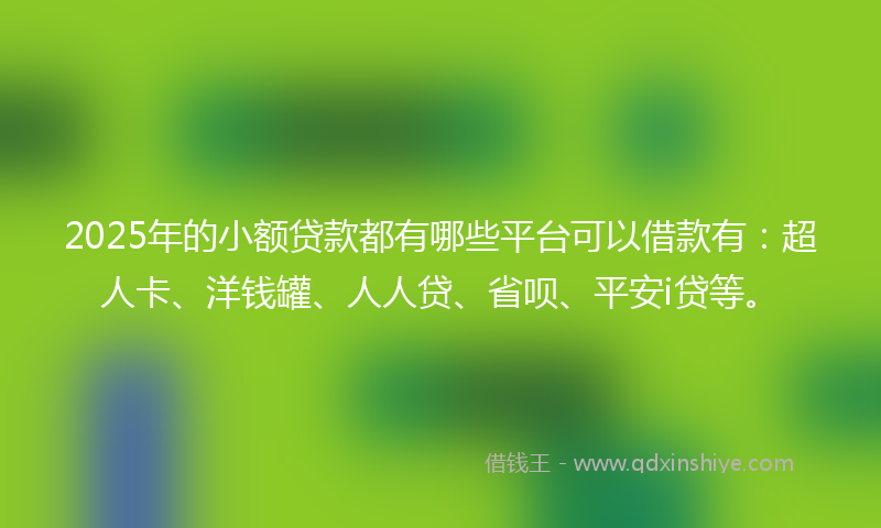 2025年的小额贷款都有哪些平台可以借款有：超人卡、洋钱罐、人人贷、省呗、平安i贷等。