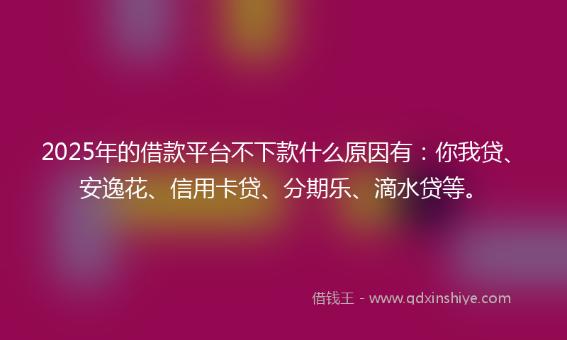 2025年的借款平台不下款什么原因有：你我贷、安逸花、信用卡贷、分期乐、滴水贷等。