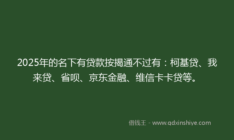 2025年的名下有贷款按揭通不过有：柯基贷、我来贷、省呗、京东金融、维信卡卡贷等。