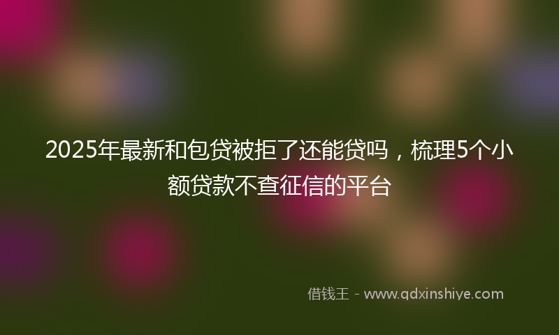 2025年最新和包贷被拒了还能贷吗，梳理5个小额贷款不查征信的平台