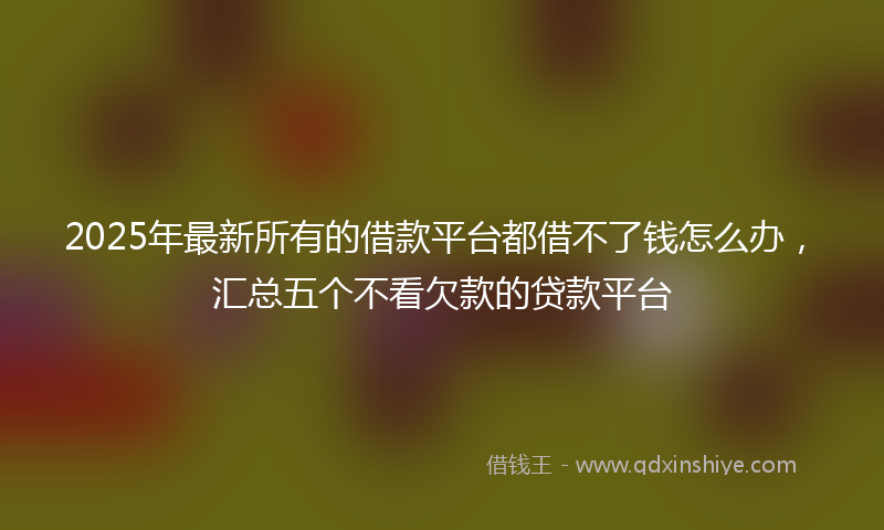 2025年最新所有的借款平台都借不了钱怎么办，汇总五个不看欠款的贷款平台