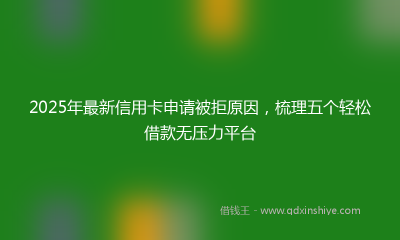 2025年最新信用卡申请被拒原因，梳理五个轻松借款无压力平台