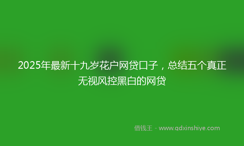 2025年最新十九岁花户网贷口子，总结五个真正无视风控黑白的网贷