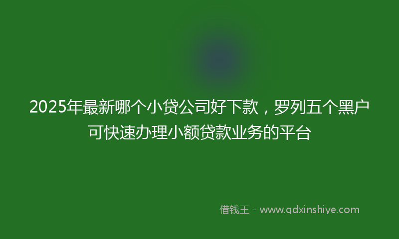 2025年最新哪个小贷公司好下款，罗列五个黑户可快速办理小额贷款业务的平台