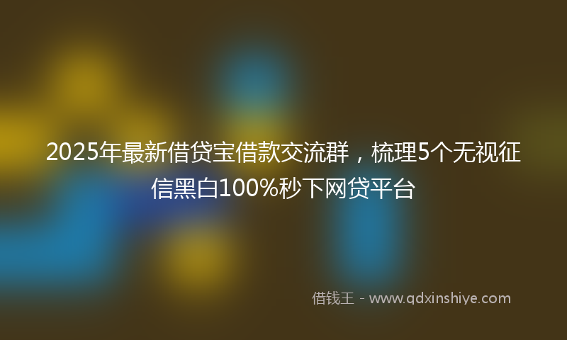 2025年最新借贷宝借款交流群，梳理5个无视征信黑白100%秒下网贷平台