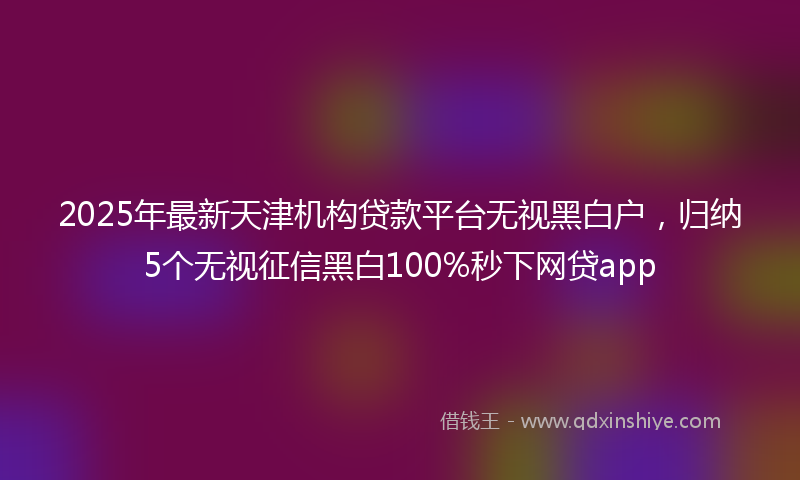 2025年最新天津机构贷款平台无视黑白户，归纳5个无视征信黑白100%秒下网贷app