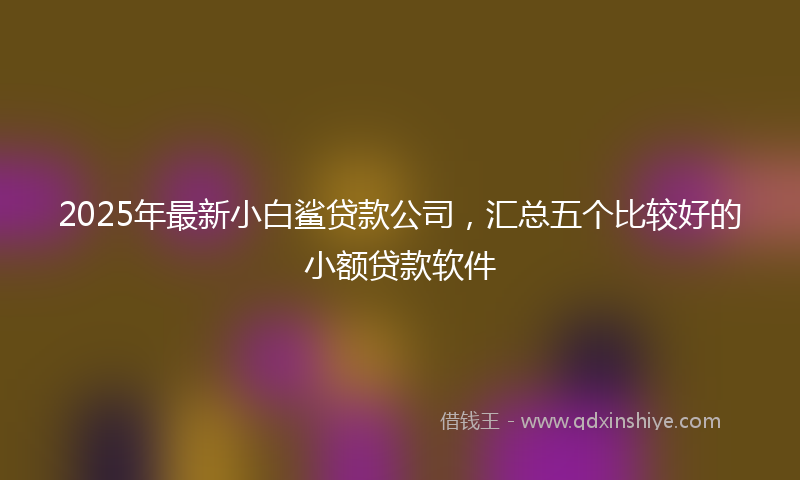2025年最新小白鲨贷款公司，汇总五个比较好的小额贷款软件