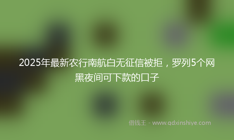 2025年最新农行南航白无征信被拒，罗列5个网黑夜间可下款的口子