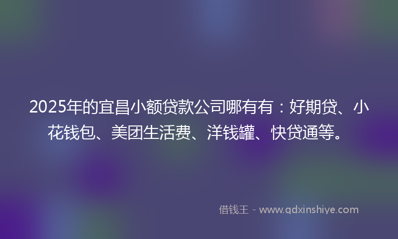 2025年的宜昌小额贷款公司哪有有：好期贷、小花钱包、美团生活费、洋钱罐、快贷通等。
