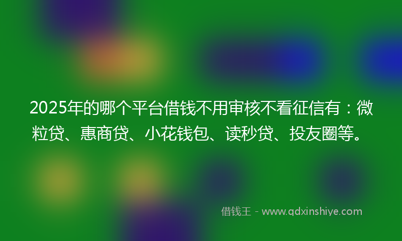 2025年的哪个平台借钱不用审核不看征信有：微粒贷、惠商贷、小花钱包、读秒贷、投友圈等。