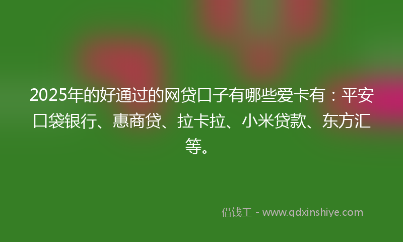 2025年的好通过的网贷口子有哪些爱卡有：平安口袋银行、惠商贷、拉卡拉、小米贷款、东方汇等。