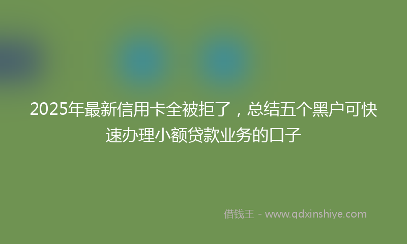 2025年最新信用卡全被拒了，总结五个黑户可快速办理小额贷款业务的口子