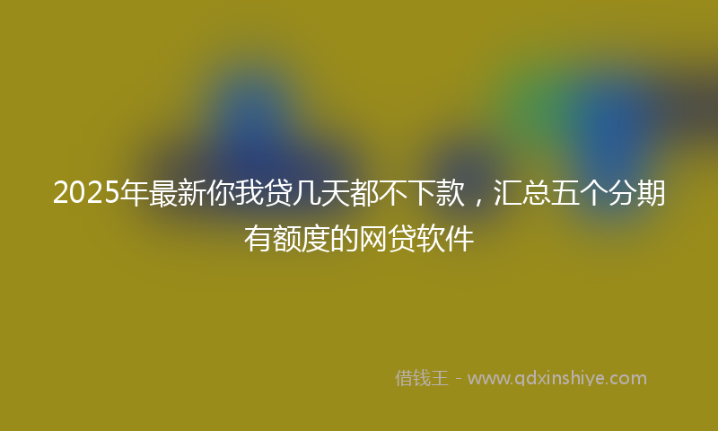 2025年最新你我贷几天都不下款，汇总五个分期有额度的网贷软件