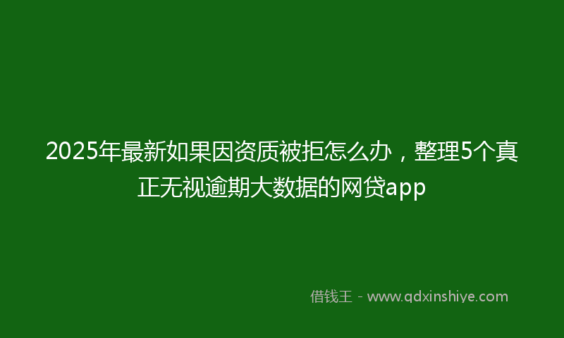 2025年最新如果因资质被拒怎么办，整理5个真正无视逾期大数据的网贷app