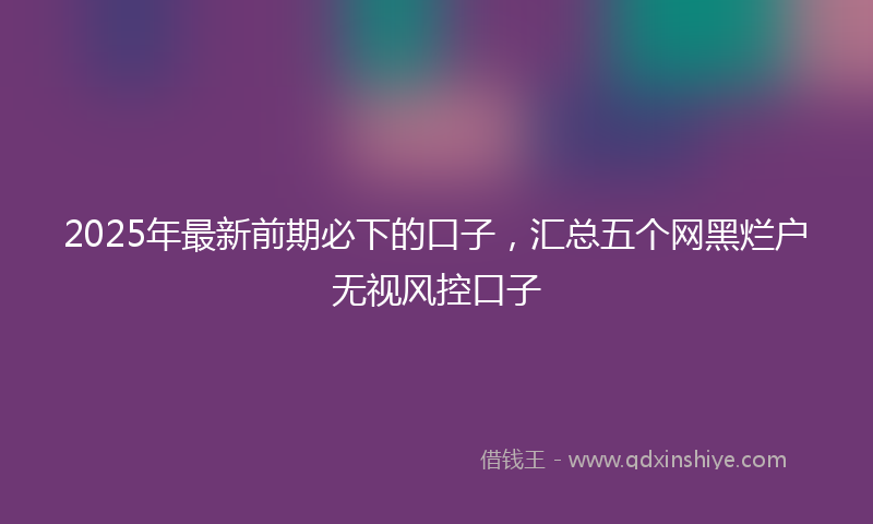 2025年最新前期必下的口子，汇总五个网黑烂户无视风控口子