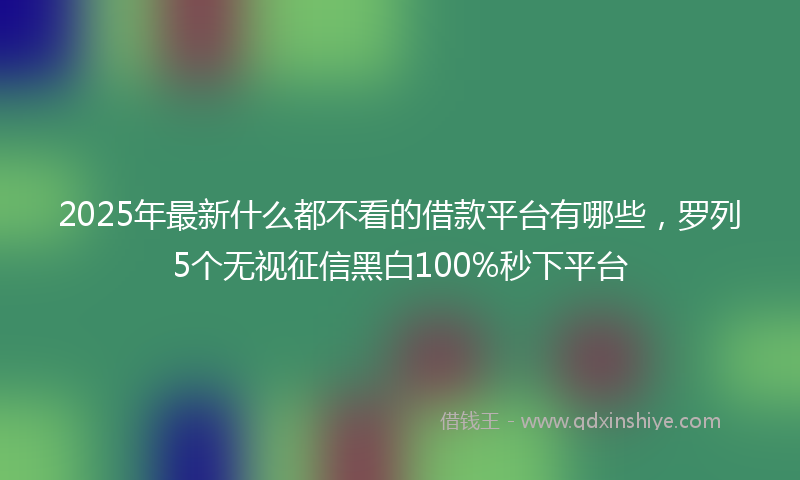 2025年最新什么都不看的借款平台有哪些，罗列5个无视征信黑白100%秒下平台