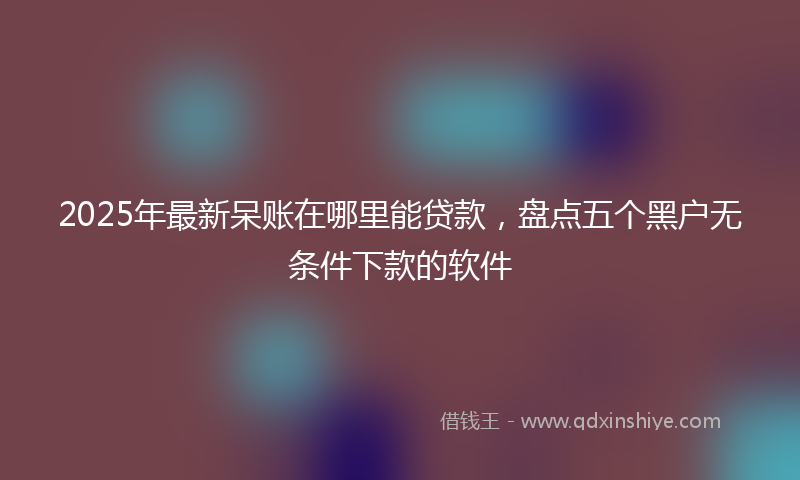 2025年最新呆账在哪里能贷款，盘点五个黑户无条件下款的软件