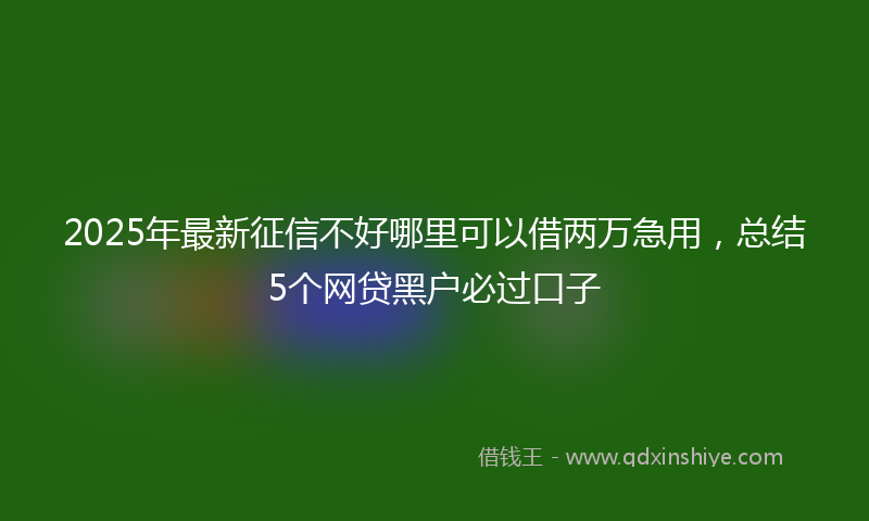 2025年最新征信不好哪里可以借两万急用，总结5个网贷黑户必过口子