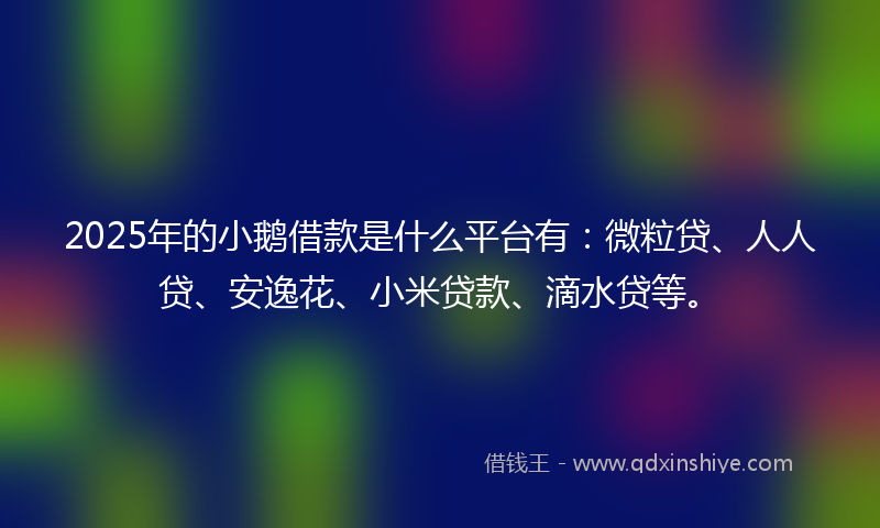 2025年的小鹅借款是什么平台有：微粒贷、人人贷、安逸花、小米贷款、滴水贷等。