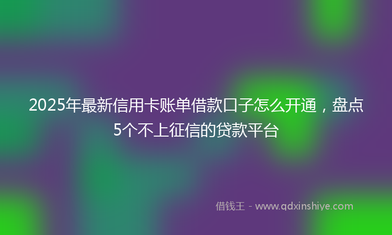 2025年最新信用卡账单借款口子怎么开通，盘点5个不上征信的贷款平台
