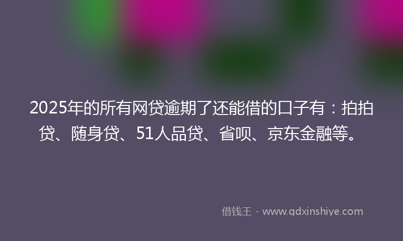2025年的所有网贷逾期了还能借的口子有：拍拍贷、随身贷、51人品贷、省呗、京东金融等。