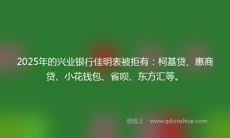 2025年的兴业银行佳明表被拒有：柯基贷、惠商贷、小花钱包、省呗、东方汇等。