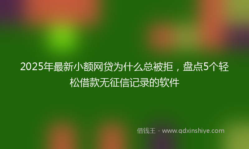 2025年最新小额网贷为什么总被拒，盘点5个轻松借款无征信记录的软件