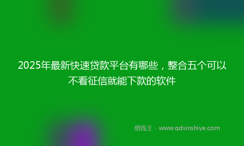 2025年最新快速贷款平台有哪些，整合五个可以不看征信就能下款的软件