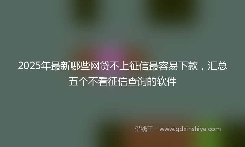 2025年最新哪些网贷不上征信最容易下款，汇总五个不看征信查询的软件
