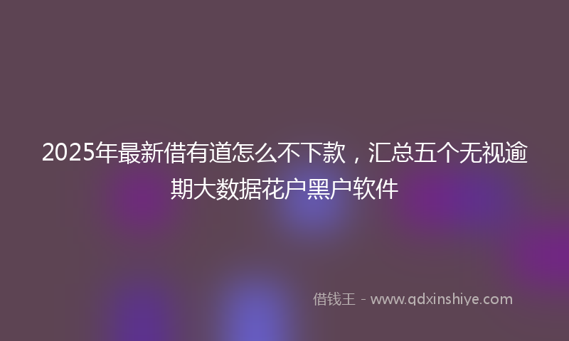 2025年最新借有道怎么不下款，汇总五个无视逾期大数据花户黑户软件