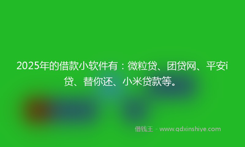 2025年的借款小软件有：微粒贷、团贷网、平安i贷、替你还、小米贷款等。
