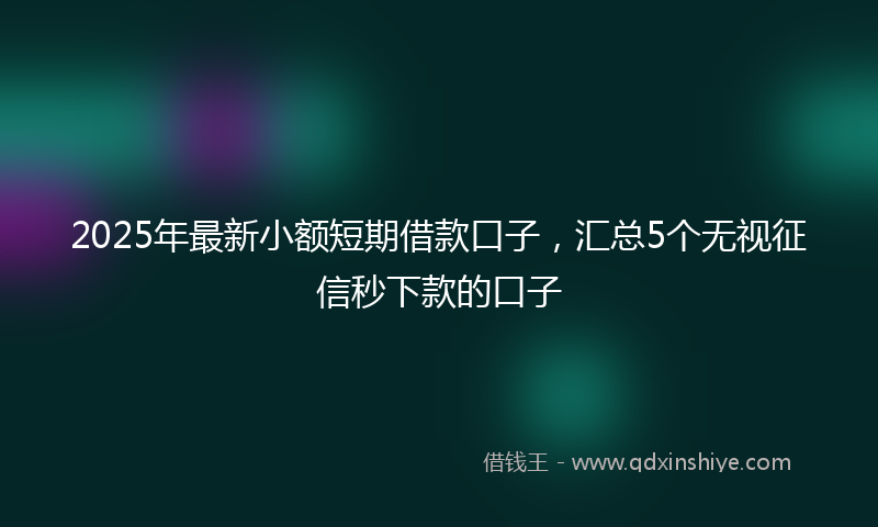 2025年最新小额短期借款口子，汇总5个无视征信秒下款的口子