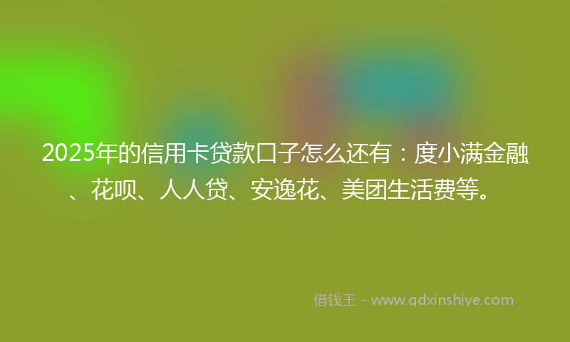 2025年的信用卡贷款口子怎么还有：度小满金融、花呗、人人贷、安逸花、美团生活费等。