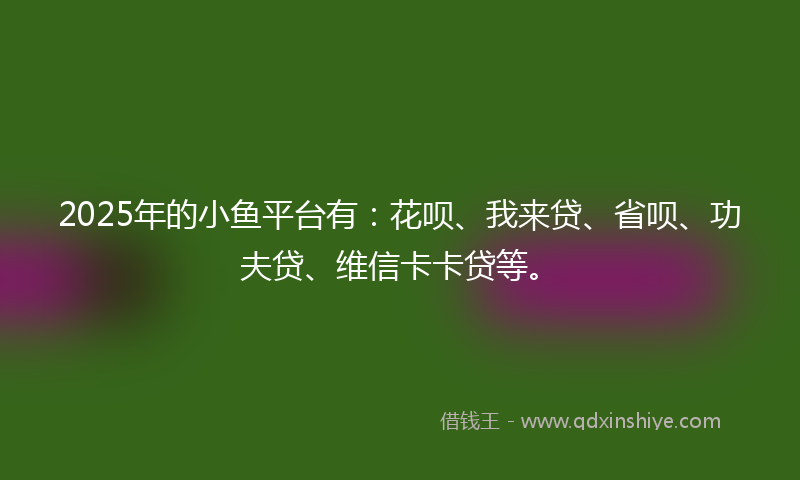 2025年的小鱼平台有：花呗、我来贷、省呗、功夫贷、维信卡卡贷等。