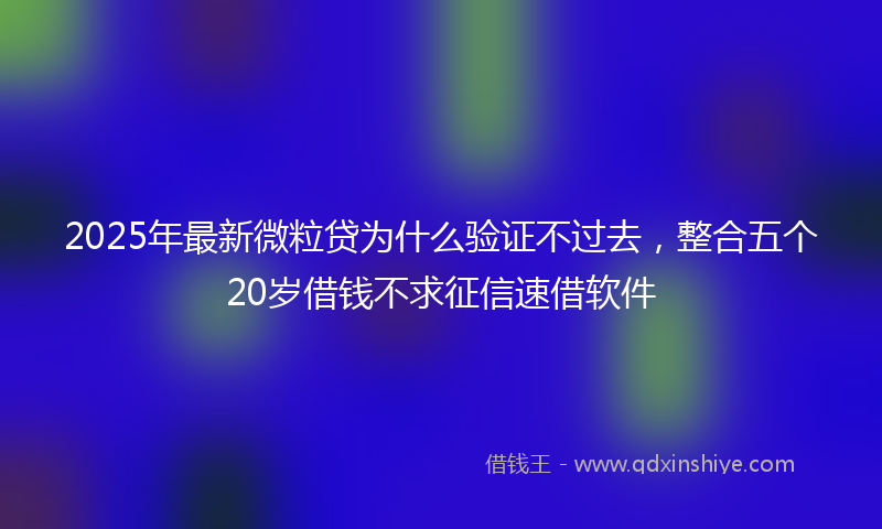 2025年最新微粒贷为什么验证不过去，整合五个20岁借钱不求征信速借软件