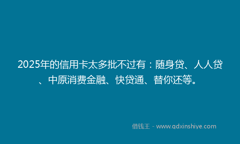2025年的信用卡太多批不过有：随身贷、人人贷、中原消费金融、快贷通、替你还等。