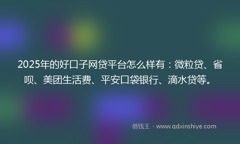 2025年的好口子网贷平台怎么样有：微粒贷、省呗、美团生活费、平安口袋银行、滴水贷等。
