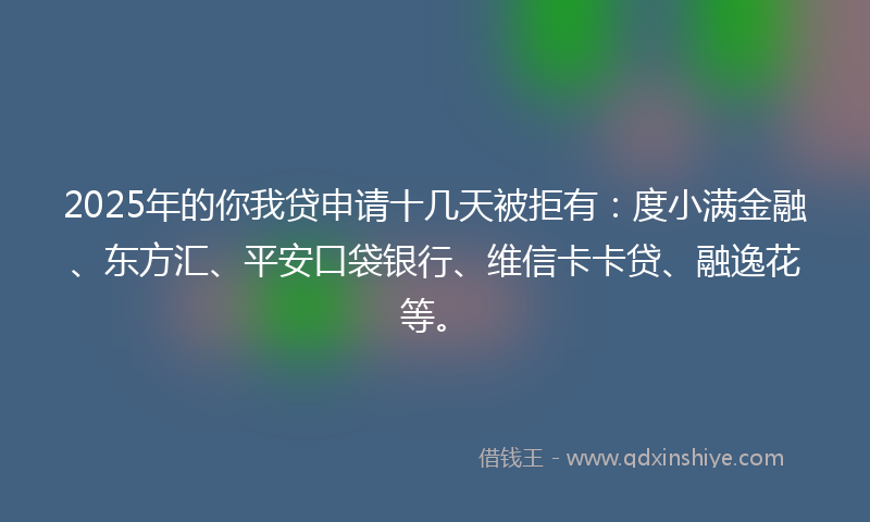2025年的你我贷申请十几天被拒有：度小满金融、东方汇、平安口袋银行、维信卡卡贷、融逸花等。