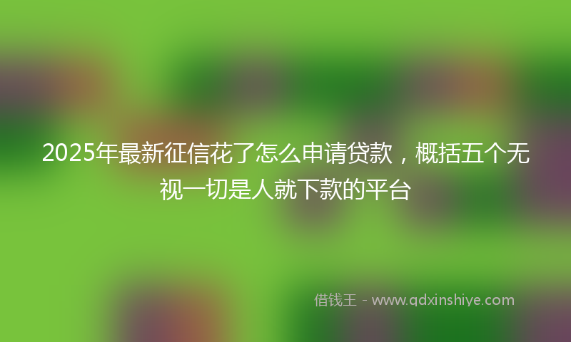 2025年最新征信花了怎么申请贷款，概括五个无视一切是人就下款的平台